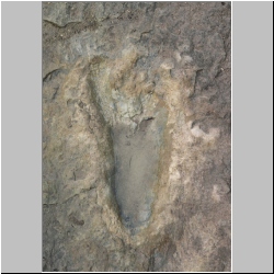 13-px84b-11-19 dodm.jpg